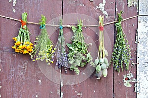 Various flowers and medical herb bunch on wooden grunge wall photo