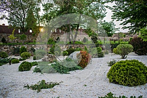 Various fragrant coniferous trees and bushes in a park of stones under the open sky.