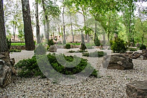 Various fragrant coniferous trees and bushes in a park of stones under the open sky.