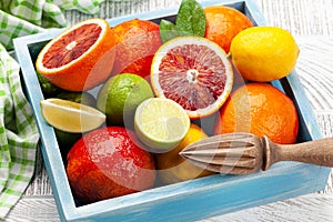 Various fresh citrus fruits in box. Bood orange, lime, lemon