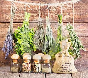 Various fresh and dried herbs photo