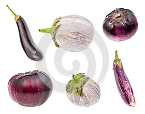 Various fresh eggplants isolated on white