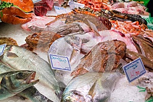 Various fresh fish (Dorade - Gilt-head bream, Calamarcitos - squid), crayfish and lobsters on ice