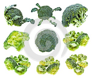 Various fresh and frozen broccoli isolated