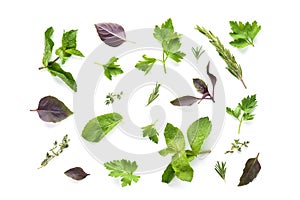 Various fresh herbs collection isolated on white background