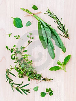 Various fresh herbs from the garden holy basil , basil ,rosemary,oregano, sage and thyme over rustic wooden background.