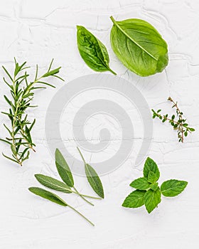 Various fresh herbs from the garden peppermint , sweet basil ,rosemary,oregano, sage and lemon thyme on white wooden background w