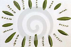 Various fresh herbs from the garden rosemary, sage ,and thyme  leaves flat lay with central copy space on white background