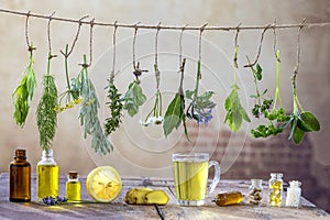 Hranice různý čerstvý byliny a bylinný čaj na bílém čerstvý léčivý rostliny závěsný na . příprava léčivý 