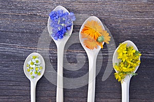 Various fresh medical herbs bloosoms in wooden spoons