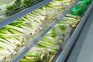 Various fresh organic green vegetables on display in supermarket. Background with lettuce, celery, alo vera, leek. Healthy vegetar