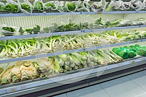 Various fresh organic green vegetables on display in supermarket. Background with lettuce, celery, alo vera, leek. Healthy vegetar