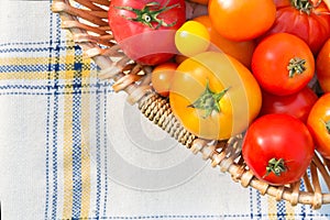 Various fresh picked organic tomatoes in a basket