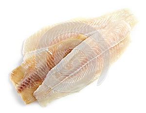 Various fresh raw fish fillet