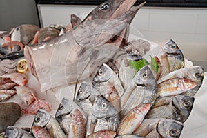 Various fresh seafood and fish displayed on the table for sale in a fish market in Bari, Italy