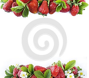 Various fresh summer fruits. Ripe strawberries on white background. Top view. Strawberries at border of image with copy space foou