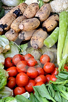 Various fresh vegetable, tomato, lotus and bamboo shoot photo