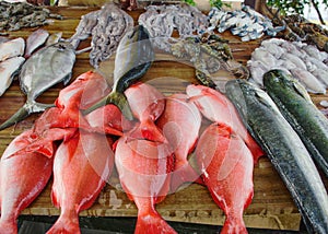 Various freshly caught fish on wooden counter.