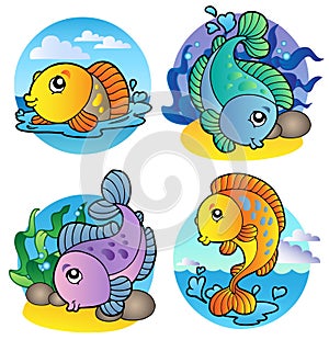 Various freshwater fishes 1