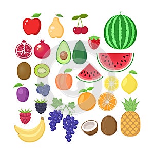 Various fruit collection. Vector fruits cartoons set. Fruit clipart. photo