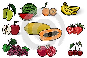 Hand drawn fruit drawing with colored drawing and black border illustrated. Vector collection set.