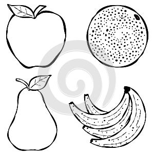 Various Fruit Line Art