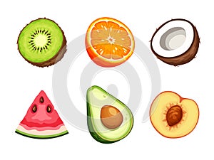 Set of various fruits isolated on white. Vector illustration