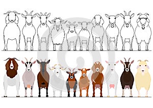 Various goats border set