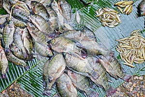 Various goods in Burmese market , Myanmar