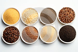 Various grains thoughtfully grouped and isolated against a white backdrop