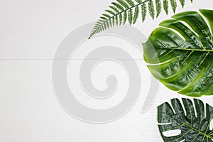 Various green leaves over the white wooden background