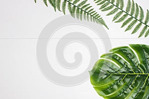 Various green leaves over the white wooden background