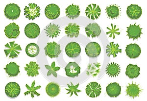 Various green trees, bushes and shrubs, top view for landscape design plan. Set of vector illustrations, isolated on a