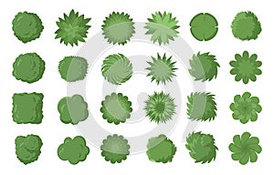 Various trees, bushes and shrubs, top view for landscape design plan. Vector illustration, isolated on white background.