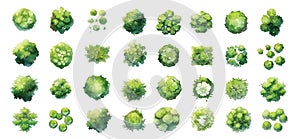 Various green trees, bushes and shrubs, top view for landscape design plan. Vector watercolor illustration, isolated on