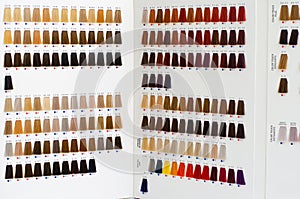 Various hair dye sample chart. Hair coloristic