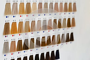 Various hair dye sample chart. Hair coloristic