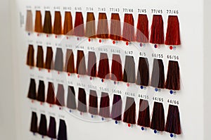 Various hair dye sample chart. Hair coloristic