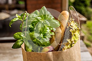 Various healthy food in paper bag on wooden background. Healthy food from the store