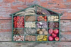 Various healthy fruits, seeds and dried food ingredient in wooden box