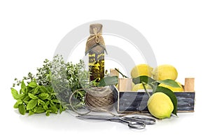 Various herbs, spices, lemons and olive oil on a white background