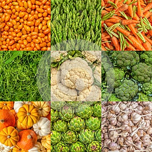 Various Herbs And Vegetables: of green artichokes, Yellow Cherry Tomato, young Carrot, stems of asparagus, colorful pumpkins,