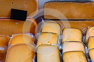 Various Holland cheese on in diary production market