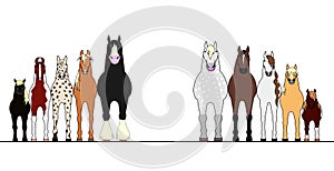 Various horses lining up in height order