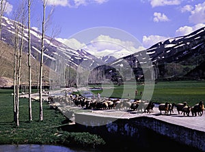 Various images from the Artvin