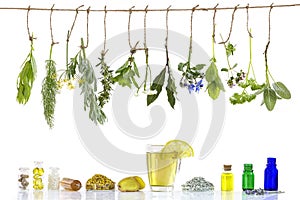 Various ingrdients . Preparing medicinal plants for phytotherapyand healthbeauty alternative medicine promotion on old