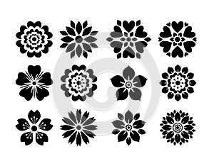 Various isolated Flower Vector