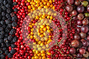 Various kinds of berries