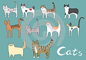 Various kinds of cat