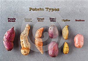 Various kinds of potatoes flat lay with labels